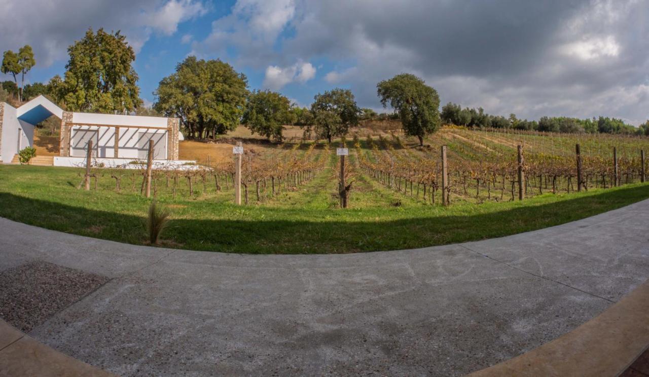 Atrium Vinea Brintziki Winery Apartment Smila