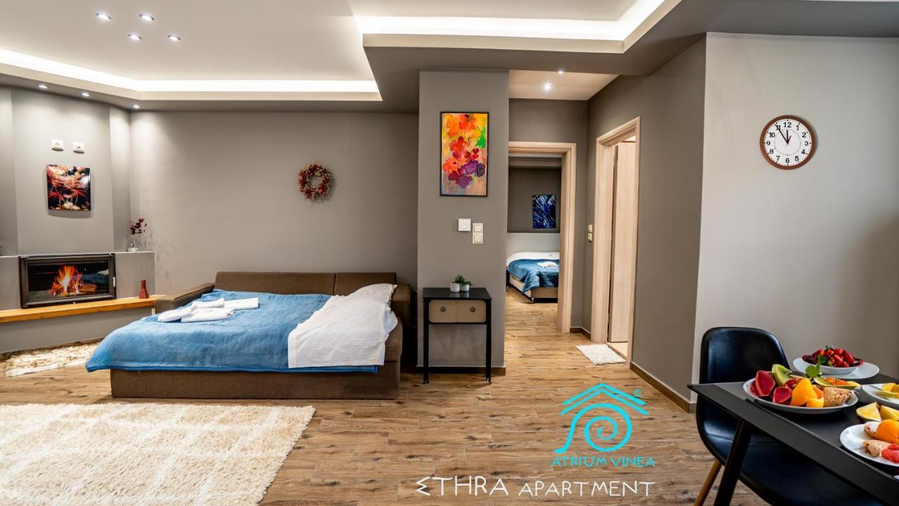 Atrium Vinea Brintziki Winery Apartment Smila